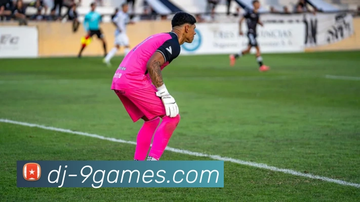 9九游会官网平台生态图